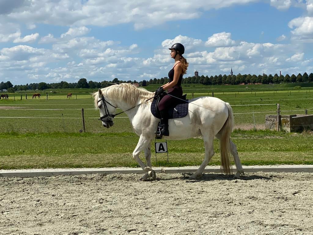 Bijrijder aangeboden, Ophalen