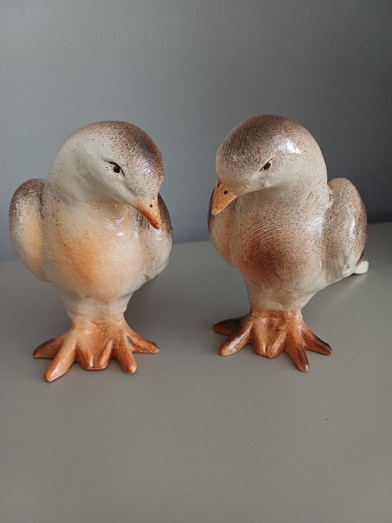 Setje Duiven, Ophalen of Verzenden, Zo goed als nieuw