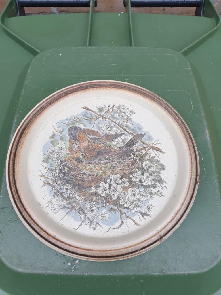 Vintage bordje met vogel, Ophalen of Verzenden, Minder dan 50 cm, Schilderij, Minder dan 50 cm