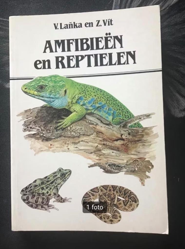 Amfibieeen en reptielen door V.Lanka en Z.Vit., Dieren en Toebehoren, Overige soorten, 0 tot 2 jaar