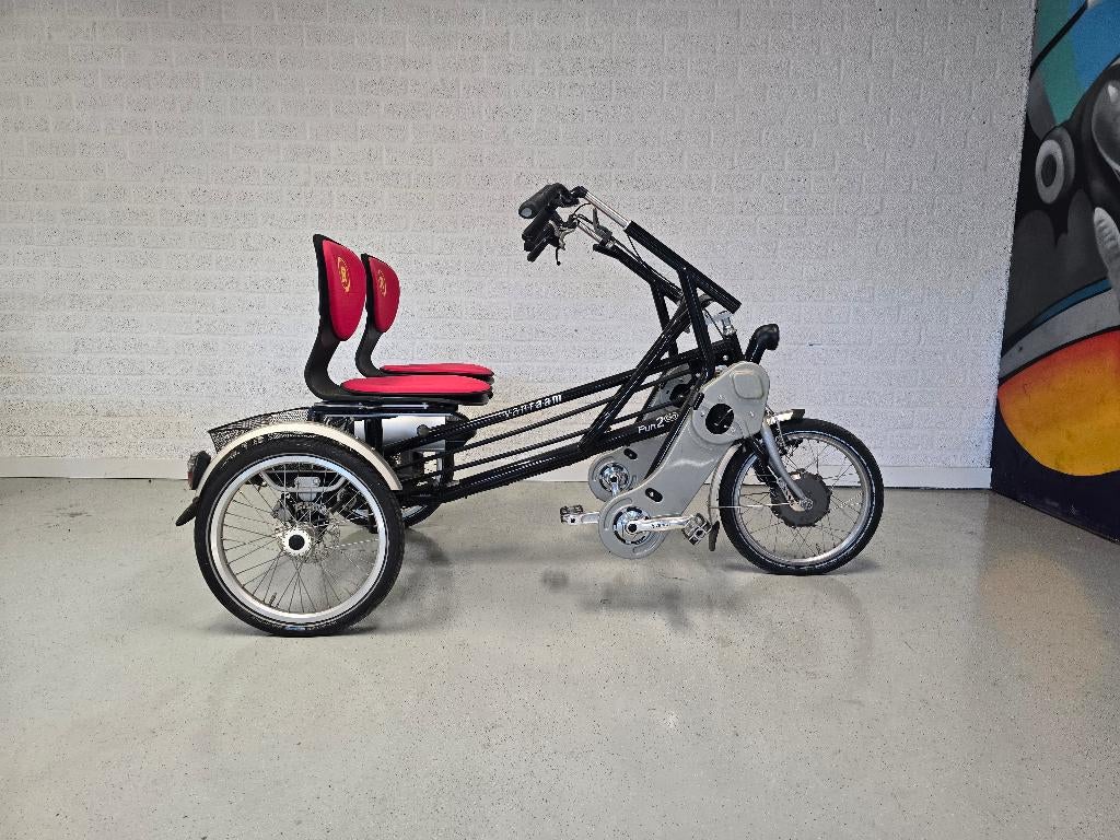 Elektrische Duofiets Van Raam FUN2GO (Silent motor), Van Raam, Ophalen of Verzenden, Zo goed als nieuw, Van Raam