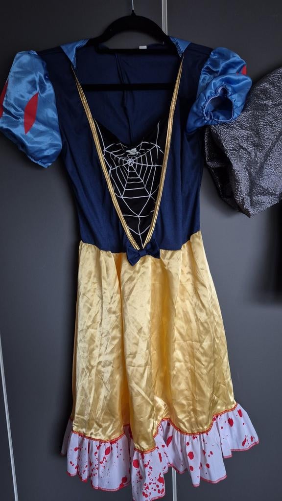 Carnavalskleding, Kleding | Dames, Ophalen of Verzenden, Gedragen, Maat 38/40 (M), Carnaval