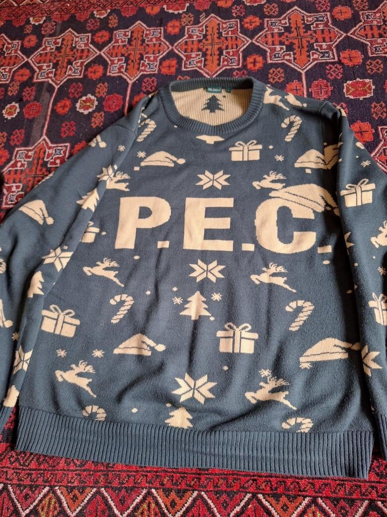 L   PEC   ZWOLLE  KERSTTRUI, Maat L, Ophalen of Verzenden, Zo goed als nieuw, Shirt