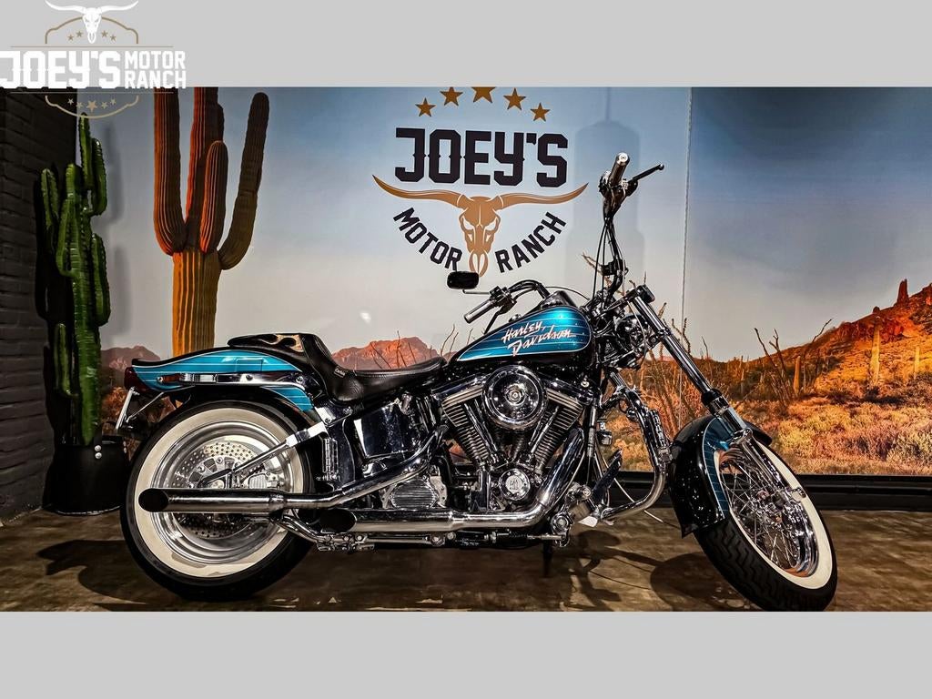 HARLEY-DAVIDSON SOFTAIL STANDARD FXST CUSTOM (bj 1989), 2 cilinders, 1338 cc, HARLEY-DAVIDSON, Bedrijf