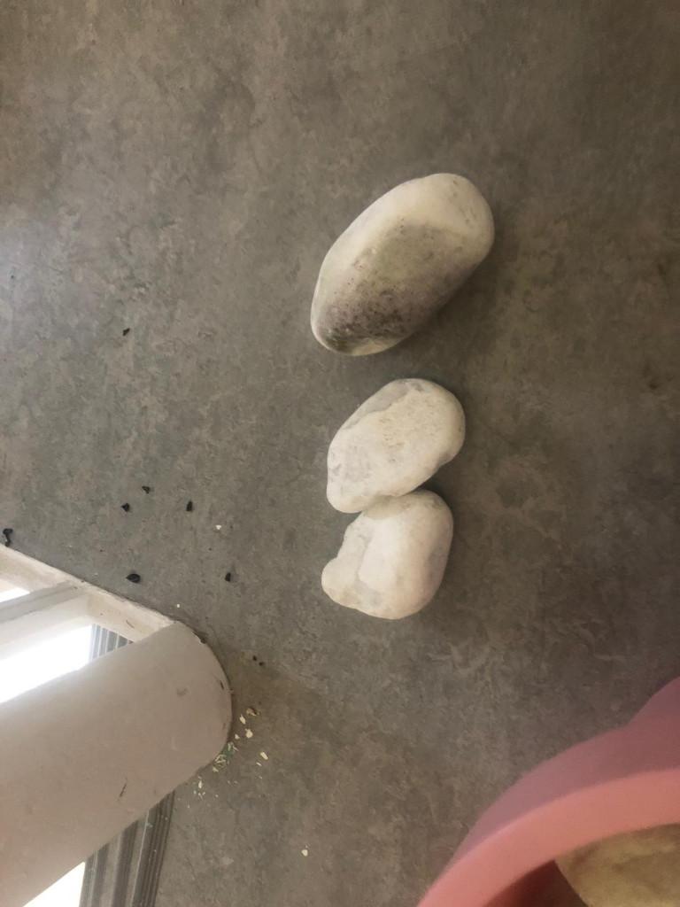 4 boxen vol met aquarium accessoires - van alles!, Ophalen, Gebruikt, Gevuld zoetwateraquarium