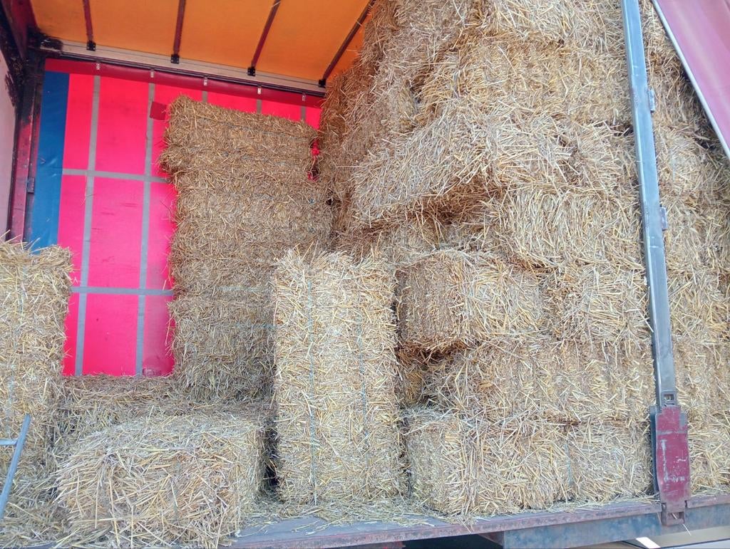 Te koop kleine balen stro, Ophalen of Verzenden, Vee