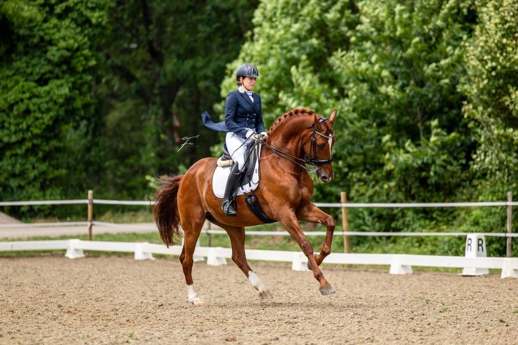 Inter 1 amazone geeft graag dressuurles / aankoopbegeleiding, Ruiter of Bijrijder
