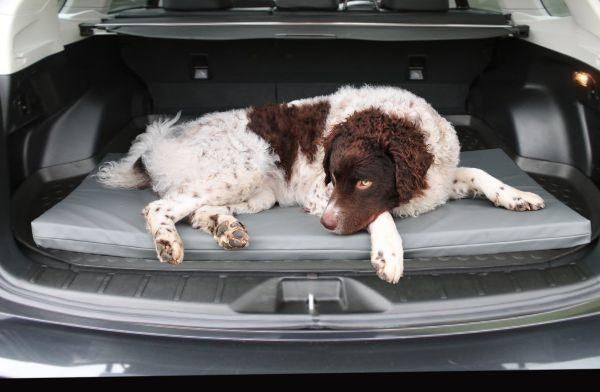 Bia bed orthopedisch matras- gemakkelijk schoon te maken, Dieren en Toebehoren, Hondenmanden, Nieuw, Polyester, Verzenden