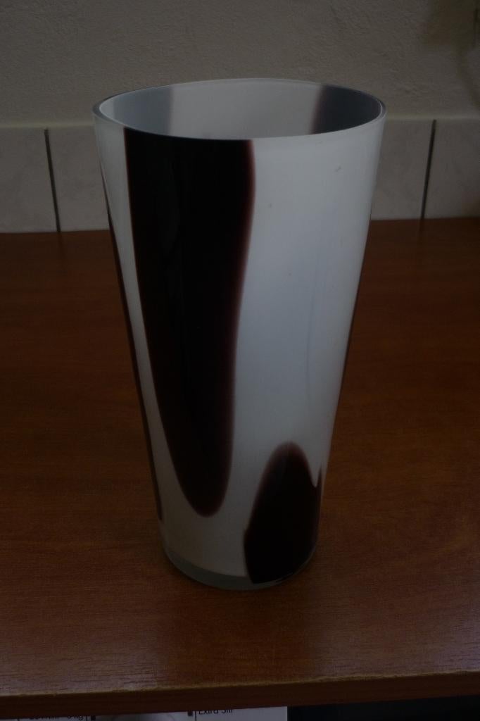 vaas, Overige kleuren, Ophalen of Verzenden, Minder dan 50 cm, Glas