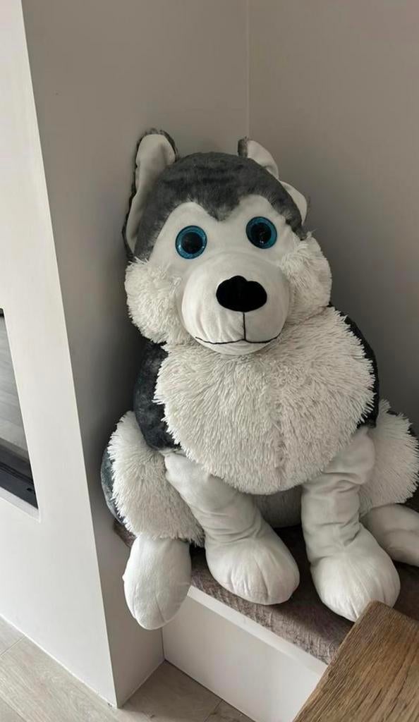 Grote husky knuffel hond, Ophalen, Zo goed als nieuw, Overige typen