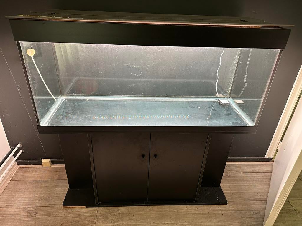 240 liter aquarium, Dieren en Toebehoren, Vissen | Aquaria en Toebehoren, Ophalen, Zo goed als nieuw, Leeg aquarium