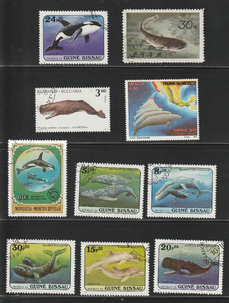 Walvissen en Dolfijnen Kavel nr. 2, Verzenden, Gestempeld, Dier of Natuur