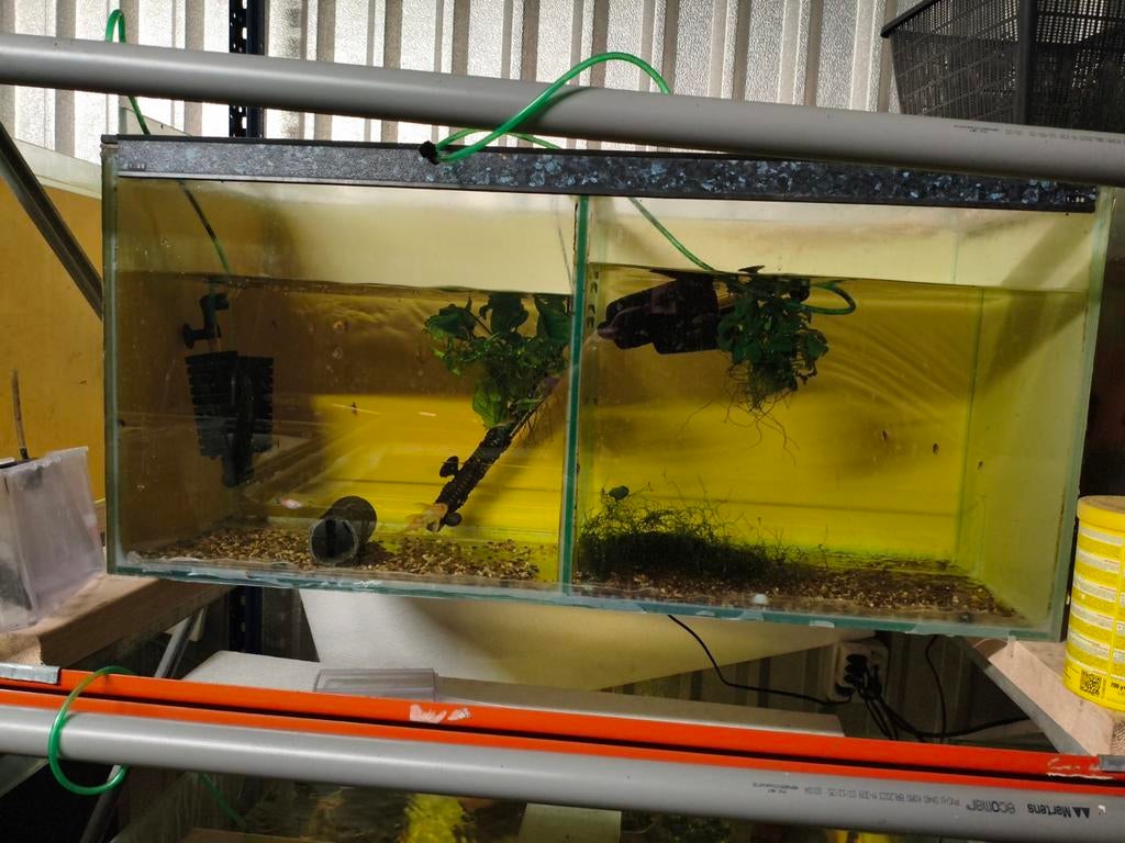 Aquarium zijn 1 meter, Dieren en Toebehoren, Vissen | Aquaria en Toebehoren, Ophalen, Gebruikt, Leeg aquarium