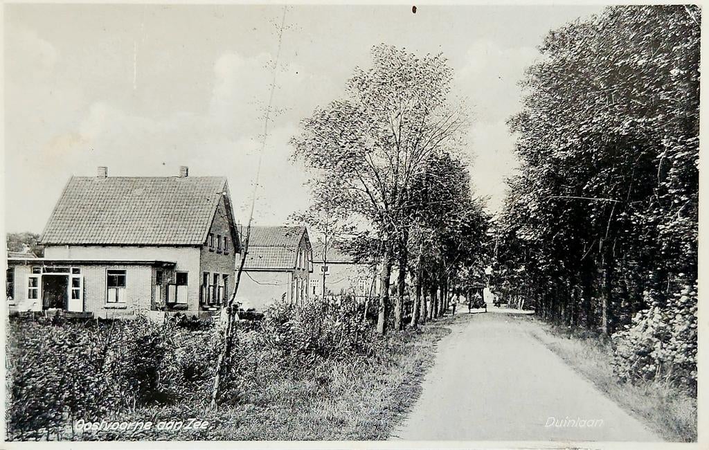 Oostvoorne - Duinlaan, Verzenden, 1920 tot 1940, Gelopen, Zuid-Holland