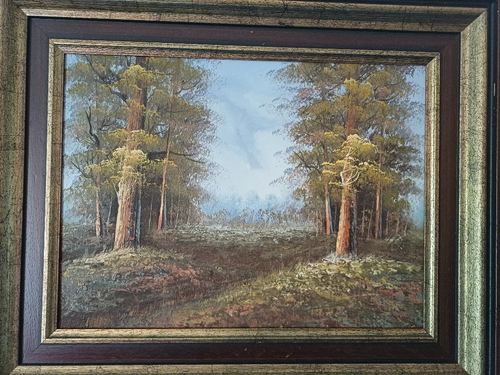 schilderijen, Ophalen of Verzenden