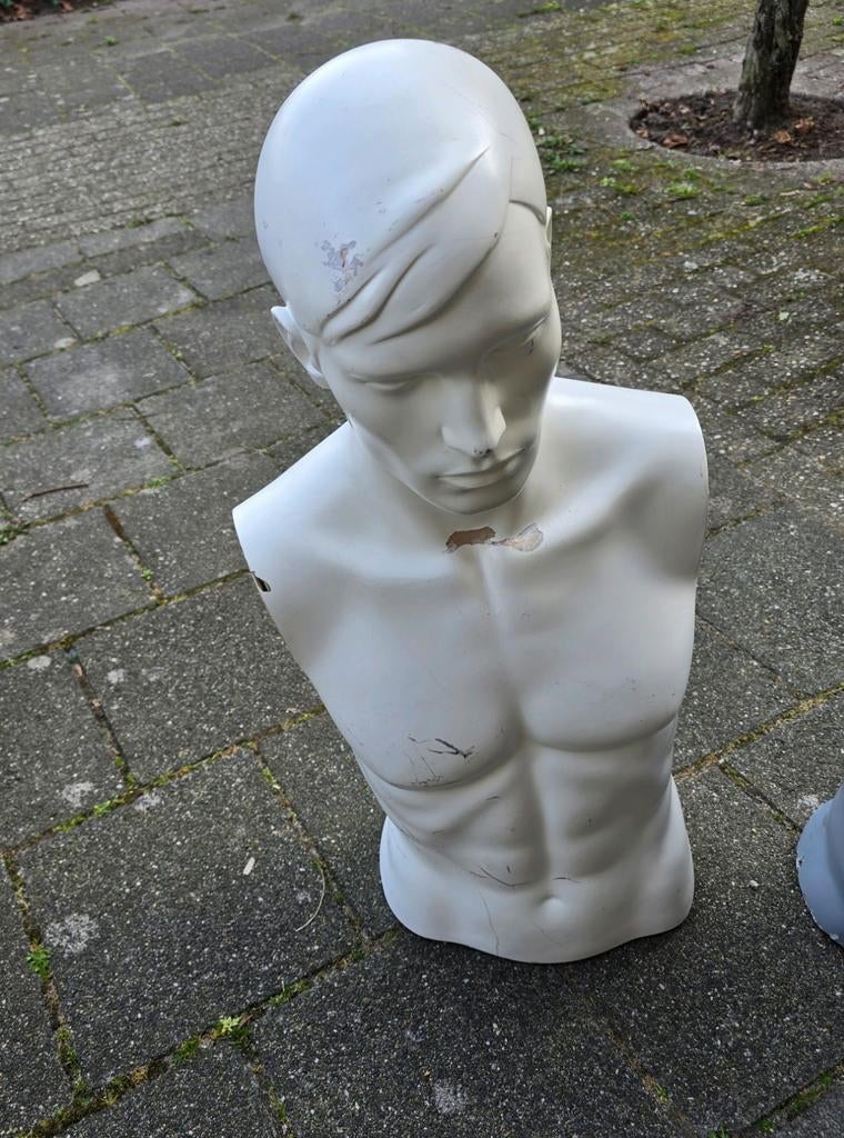 Witte Mannequin Torso met Hoofd – Etalagepop Man voor Kledin, Ophalen