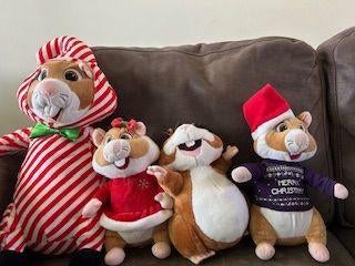 4 Hamsters, Albert Heijn, Ophalen