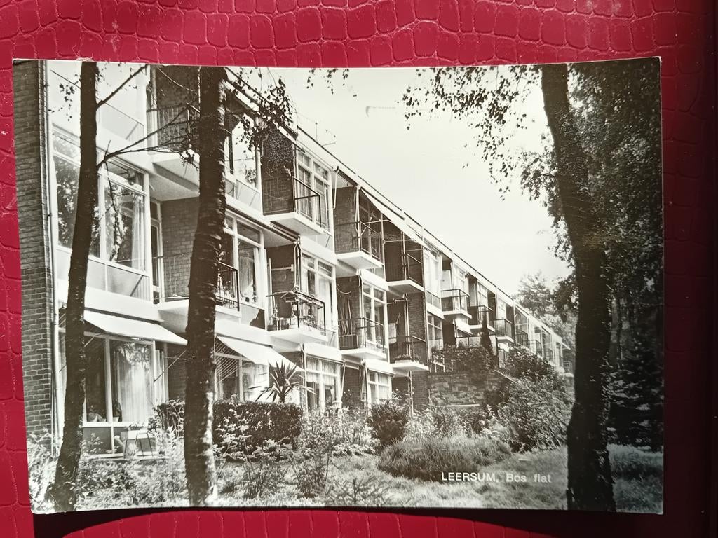 Ansichtkaart Leersum, Ophalen of Verzenden