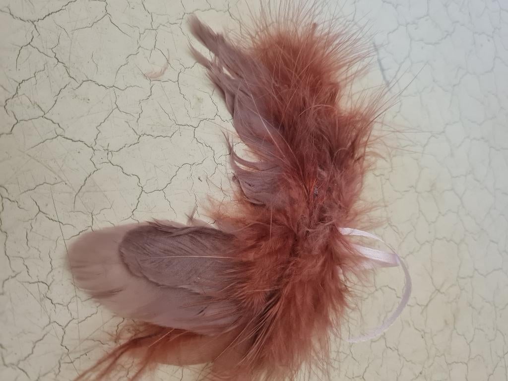 kleine engelen vleugels echte veren p/st 1.50, Diversen, Kerst, Heikant 21 Kaatsheuvel, Belle Vieille Brocante, Nieuw, Ophalen of Verzenden