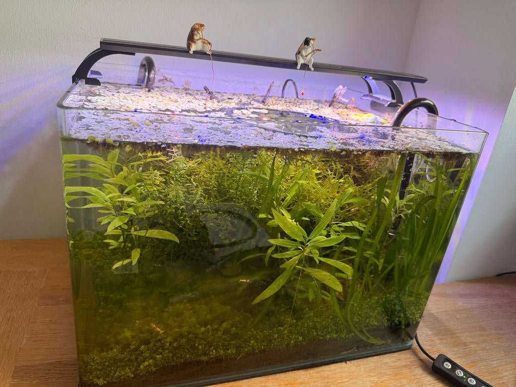 Aquascaping set, Ophalen