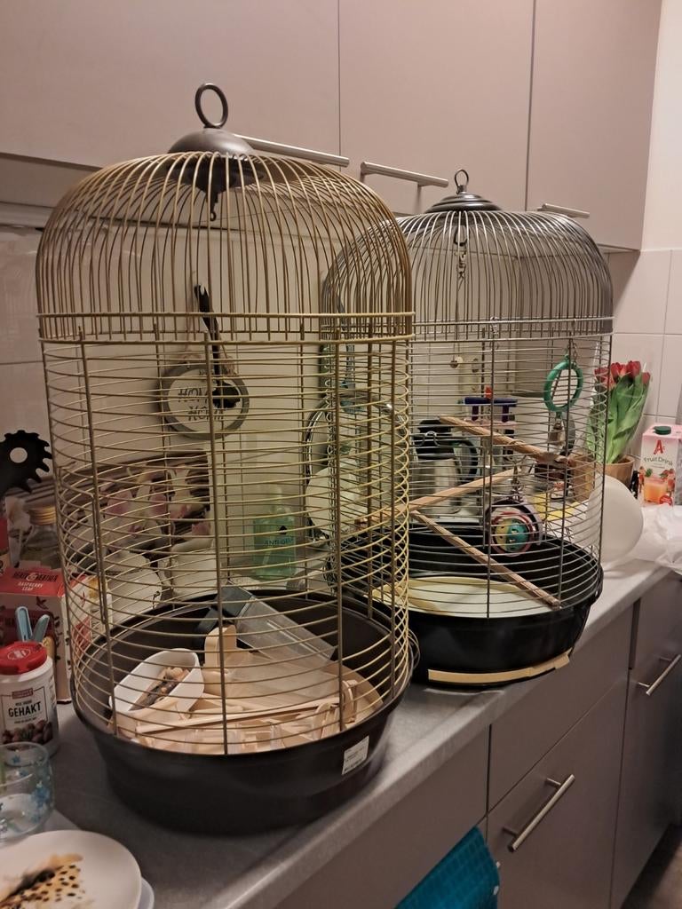 2 ronde vogelkooien, Dieren en Toebehoren, Vogels | Hokken en Kooien, Ophalen, Vogelkooi