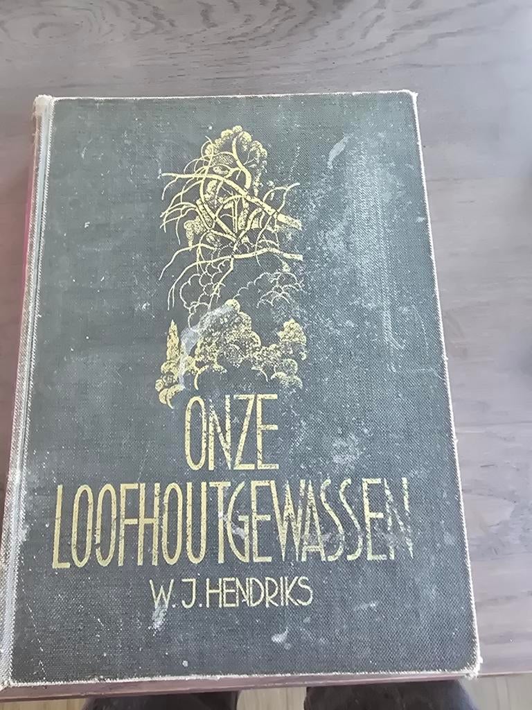Onze Loofhoutgewassen door W.J. Hendriks, Ophalen of Verzenden