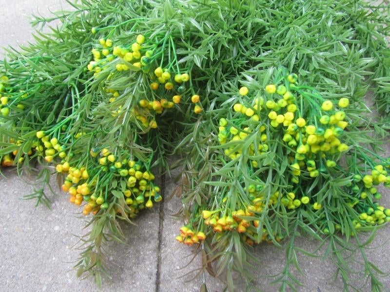 LANGE TAKKEN MET BESJES, Ophalen of Verzenden, Nieuw