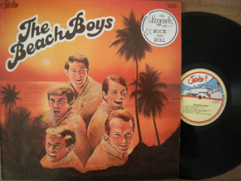 The Beach Boys (The Beach Boys), Cd's en Dvd's, Vinyl | Rock, Ophalen of Verzenden, Gebruikt, 12 inch, Poprock