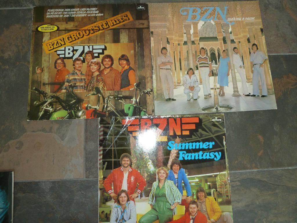 Lp BZN 3 Lp''s met Anny Schilder, Ophalen of Verzenden, Zo goed als nieuw, 12 inch