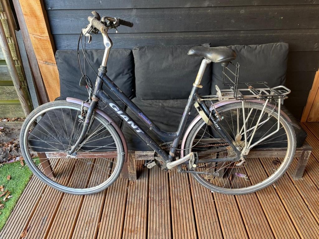 Giant damesfiets., Ophalen, Versnellingen, Giant, 53 tot 56 cm