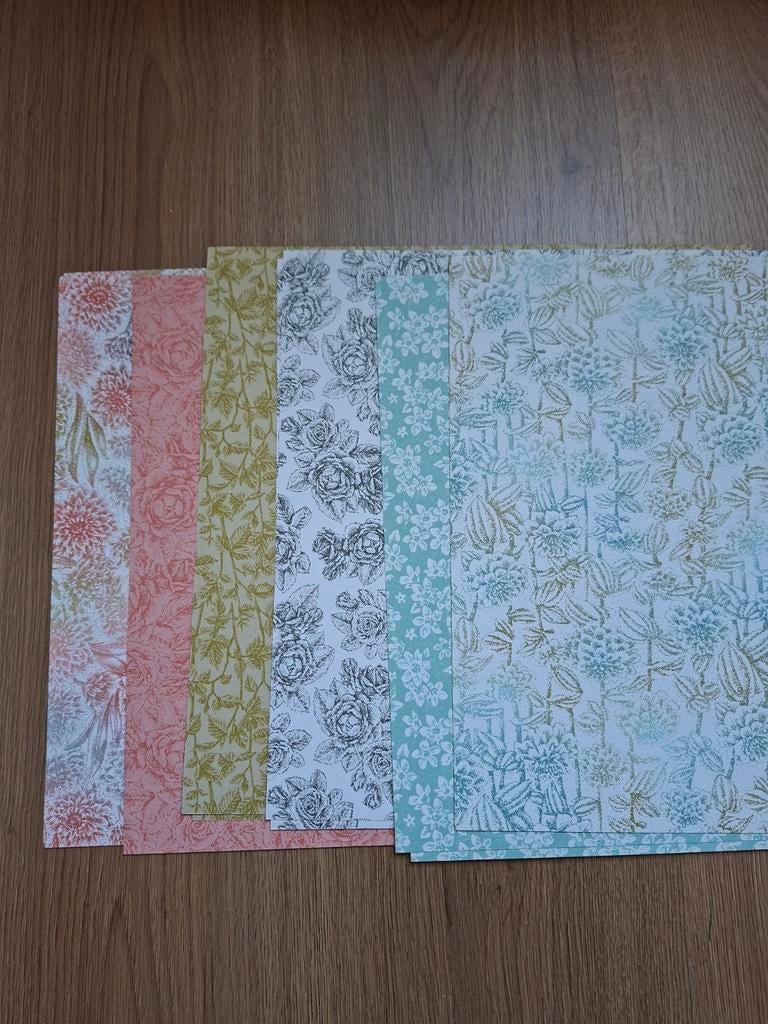 Stampin up dsp softly stippled, Ophalen of Verzenden