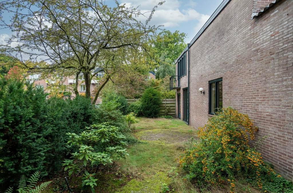 Coniferen, gratis zelf uithalen in bilthoven, Ophalen of Verzenden, Conifeer, 100 tot 250 cm