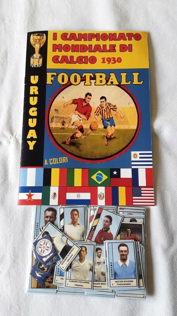 Verzameling Albums WK voetbal van Panini en andere, Verzamelen, Ophalen, Zo goed als nieuw, Buitenlandse clubs, Poster, Plaatje of Sticker
