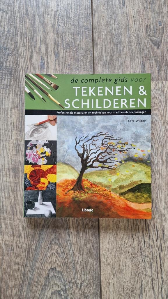 De complete gids voor tekenen & schilderen, Boeken, Kate Wilson, Ophalen of Verzenden, Zo goed als nieuw, Tekenen en Schilderen