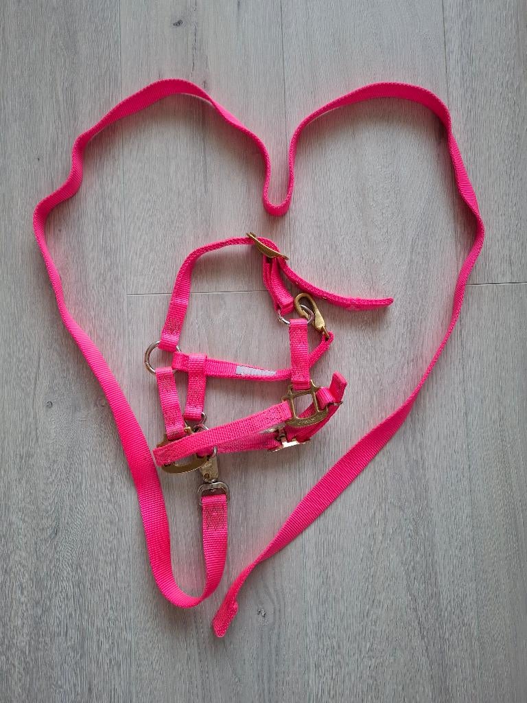 Fluo-roze halster, Dieren en Toebehoren, Ophalen of Verzenden, Gebruikt, Overige soorten