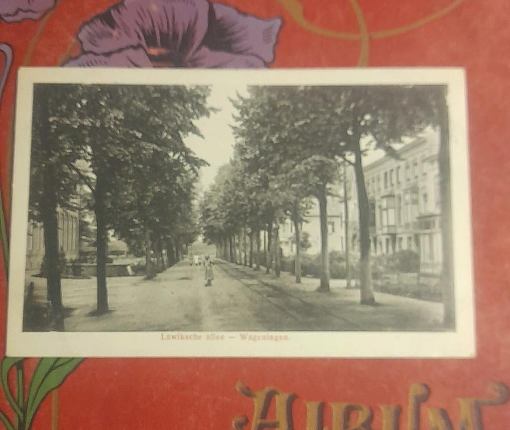 Lawiksche Alleé  wageningen, Ophalen of Verzenden, Gelopen, Gelderland