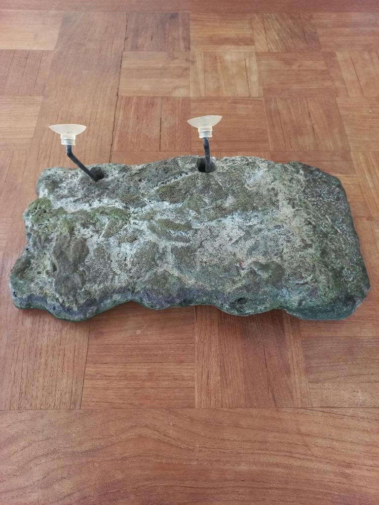 Zoo med turtle dock Turtle - unknown for sale from van Bommel