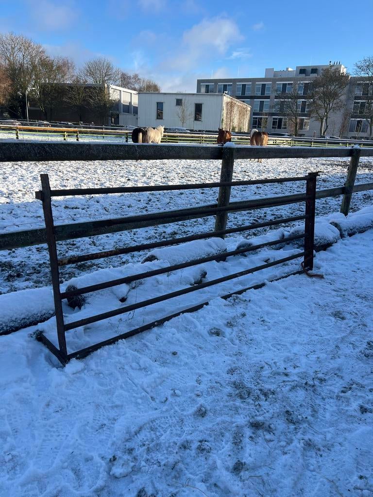 Gebruikt ijzeren hek - 2.85m breed, Ophalen, Gebruikt, IJzer, Spijlenhekwerk