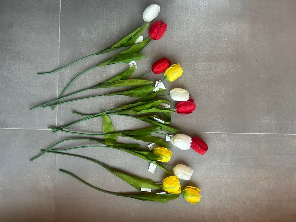 12 nieuwe tulpen in kleuren van Oeteldonk, Ophalen of Verzenden, Nieuw, Carnaval, Accessoires