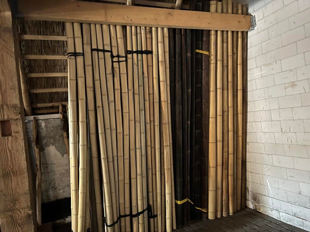 Bonenstokken bamboestokken tonkin plantensteun moestuin, Ophalen of Verzenden, Nieuw, Palen