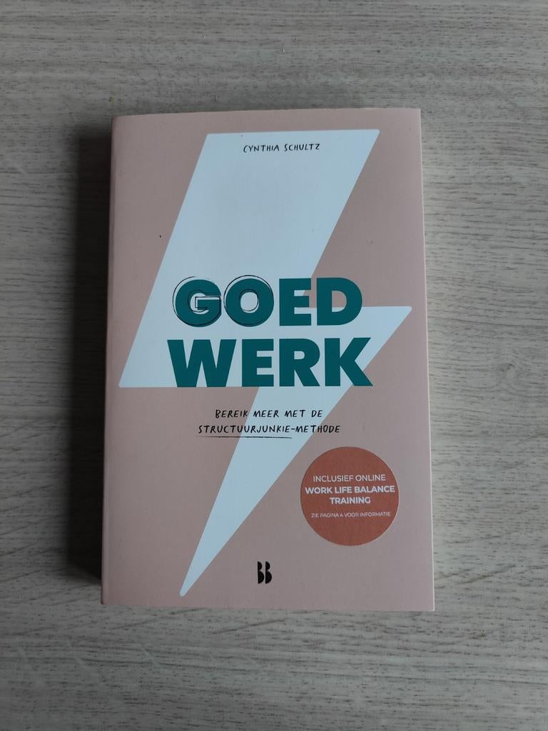 Goed Werk - Cynthia Schultz, Boeken, Ophalen of Verzenden, Zo goed als nieuw, Cynthia Schultz