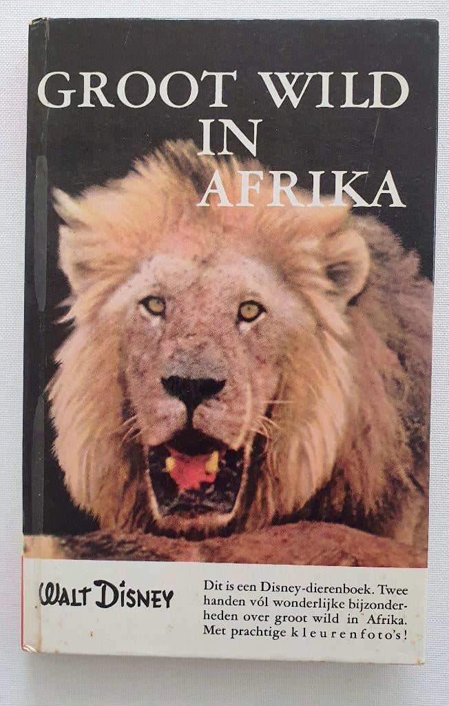 Walt Disney dierenboekjes, Ophalen of Verzenden, Overige figuren, Gebruikt, Overige typen