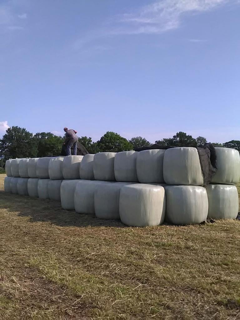 Gewassen winterwortels voerpeen Grote balen voordroog hooi, Dieren en Toebehoren, Ophalen of Verzenden, Vee