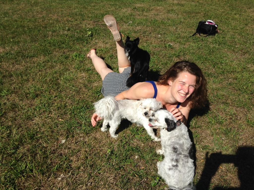 Ervaren oppas biedt uw hond een tweede thuis van huis, Diensten en Vakmensen, Dieren | Honden | Verzorging, Oppas en Les, Uitlaatservice