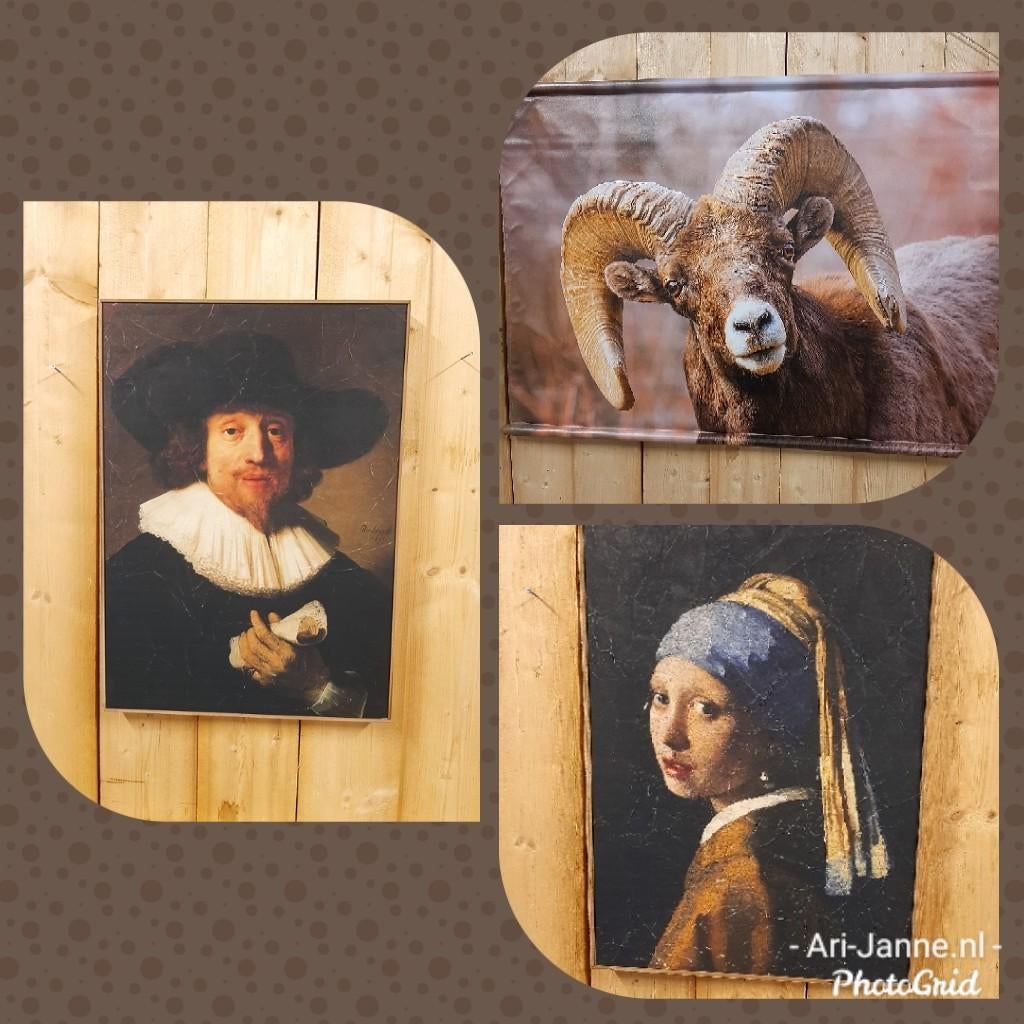 NIEUW! Landelijke wanddoeken, lijst, schilderij, perkament, Nieuw, Ophalen of Verzenden, Gemaalweg 12b Rutten, Ari-Janne.nl