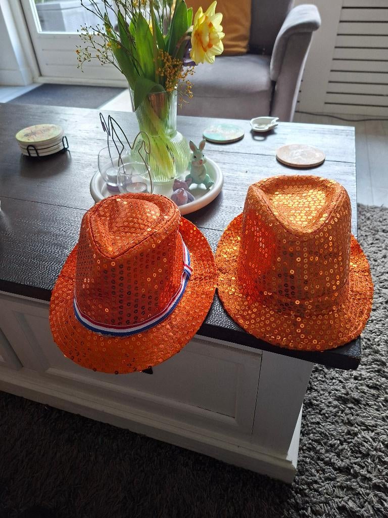 Oranje hoedjes, Ophalen of Verzenden, Gebruikt, Oranje of Koningsdag
