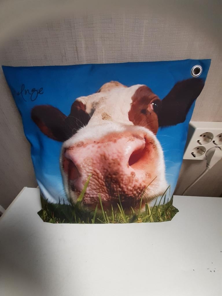 leuk buiten kussen z.g.a.n., Ophalen of Verzenden, Vierkant