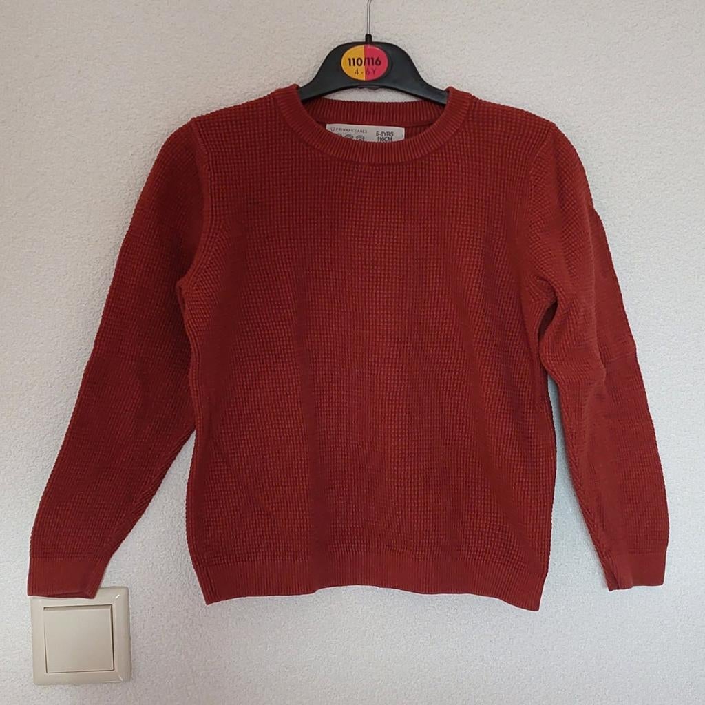 trui bordeaux rood maat 116 wafel structuur lente herfst, Trui of Vest, Ophalen of Verzenden, Zo goed als nieuw, Primark