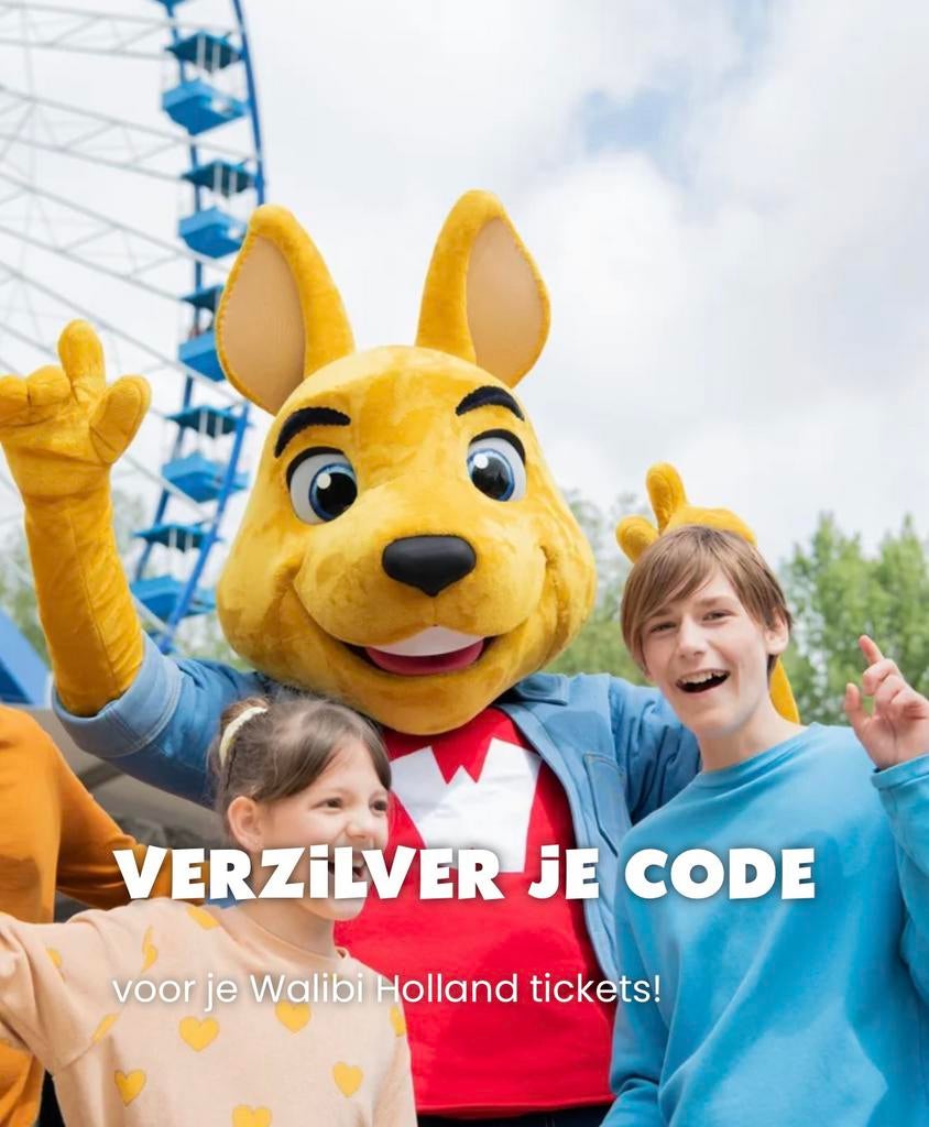 2 tickets voor Walibi Holland, Tickets en Kaartjes, Twee personen, Ticket of Toegangskaart