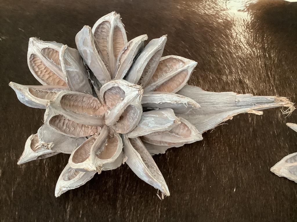 2x mooie sororoca decoratie houten bloemen vruchten, Ophalen of Verzenden, Zo goed als nieuw